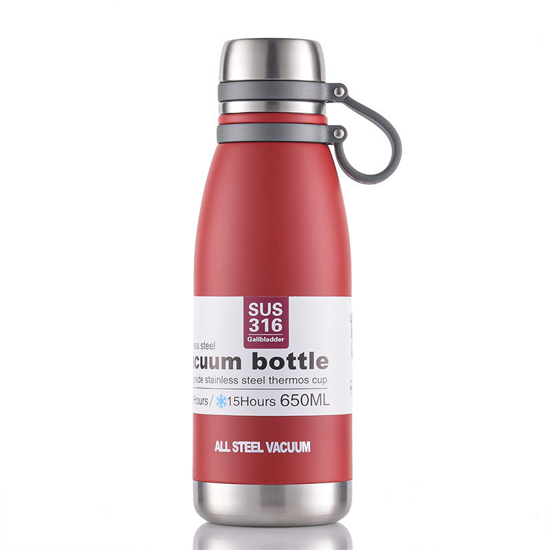 insulated 850 ml water bottle
